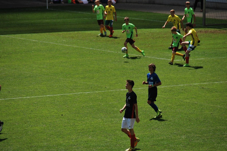 780x520SZ Fan WM C  18.6 (103).JPG